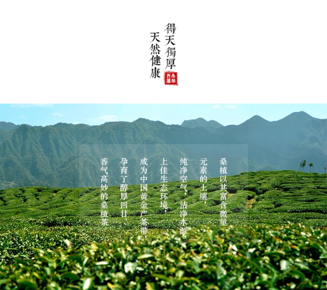 張家界林豐茶葉開(kāi)發(fā)有限公司,張家界茶葉開(kāi)發(fā),茶葉種植,桑植白茶加工,帥湘紅銷(xiāo)售