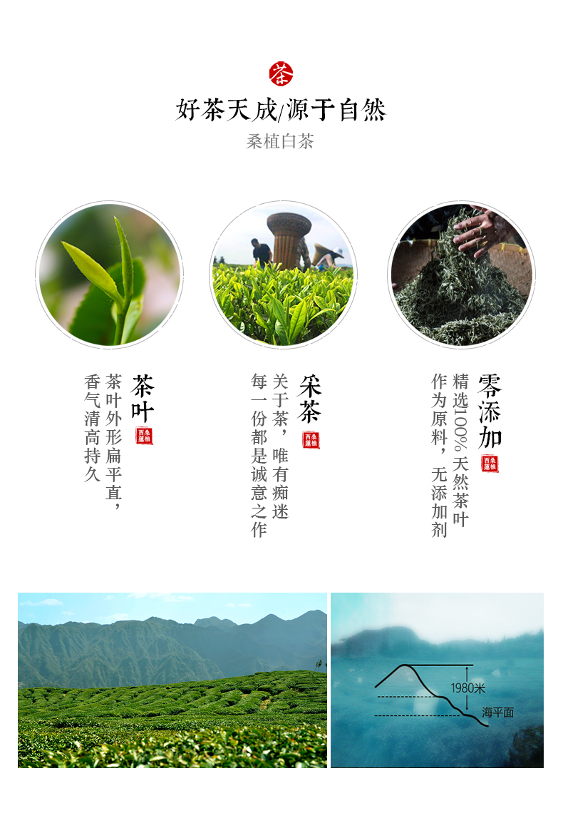 張家界林豐茶葉開(kāi)發(fā)有限公司,張家界茶葉開(kāi)發(fā),茶葉種植,桑植白茶加工,帥湘紅銷(xiāo)售